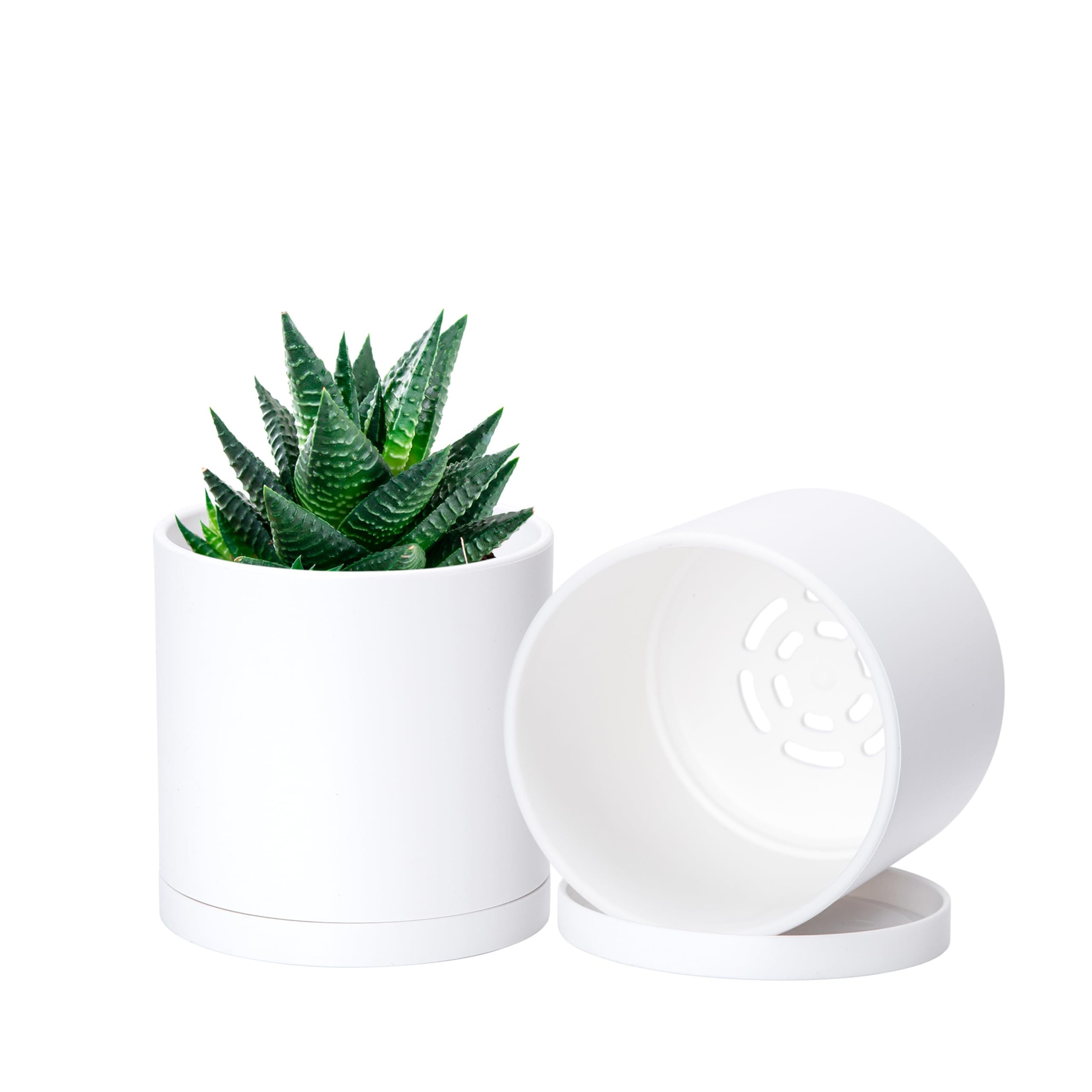SRL.DEN-4M/ CE-PLANT POT　伝市鉢 Amazon.com : D'vine Dev 2 Pack 4 Inch Modern Plastic Plant Pots